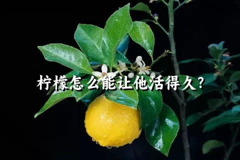 柠檬怎么能让他活得久？