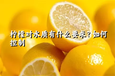 柠檬对水质有什么要求？如何控制