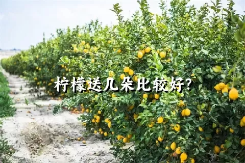 柠檬送几朵比较好？