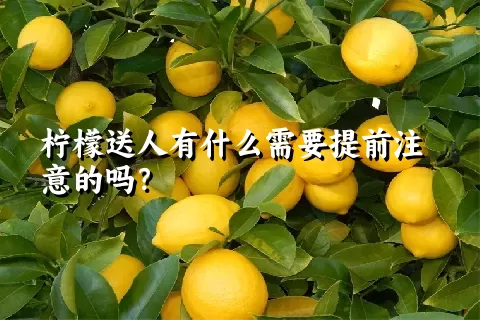 柠檬送人有什么需要提前注意的吗？