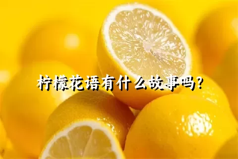 柠檬花语有什么故事吗？