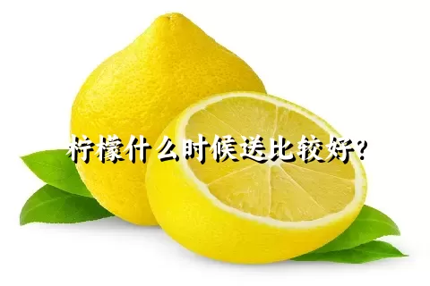 柠檬什么时候送比较好？