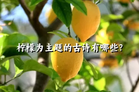 柠檬为主题的古诗有哪些？