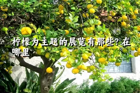 柠檬为主题的展览有那些？在哪里