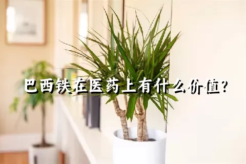 巴西铁在医药上有什么价值？