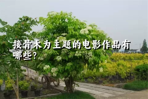 接骨木为主题的电影作品有哪些？