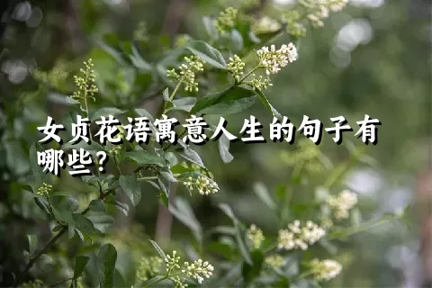 女贞花语寓意人生的句子有哪些？