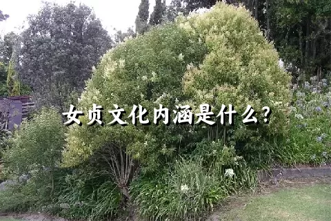 女贞文化内涵是什么？