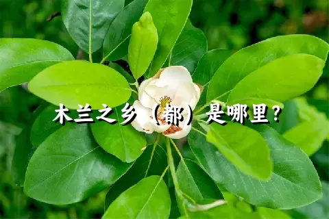 木兰之乡（都）是哪里？