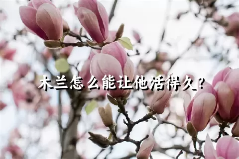 木兰怎么能让他活得久？