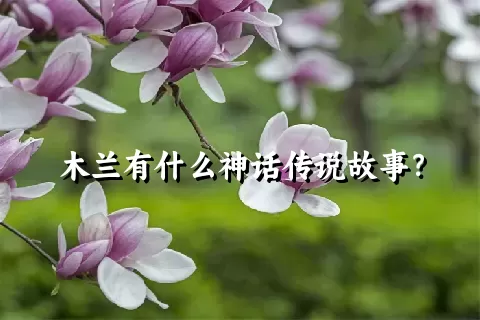 木兰有什么神话传说故事？