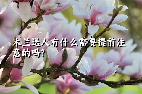 木兰送人有什么需要提前注意的吗？