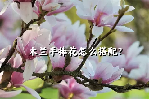 木兰手捧花怎么搭配？