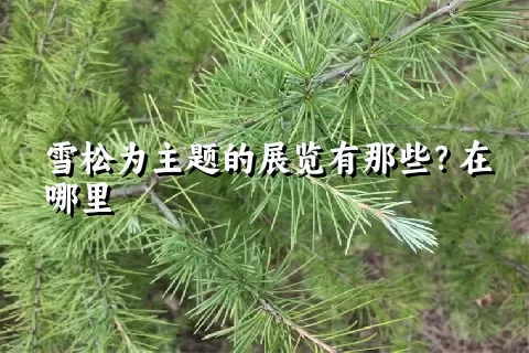 雪松为主题的展览有那些？在哪里