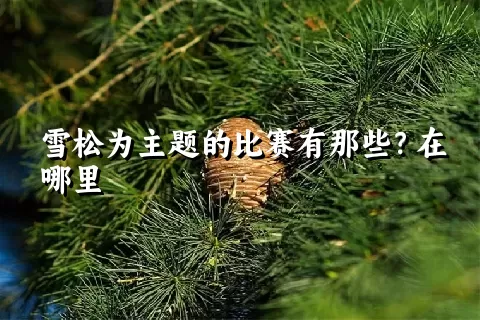 雪松为主题的比赛有那些？在哪里