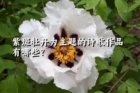 紫斑牡丹为主题的诗歌作品有哪些？