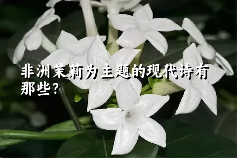 非洲茉莉为主题的现代诗有那些？