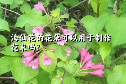 海仙花的花朵可以用于制作花束吗？