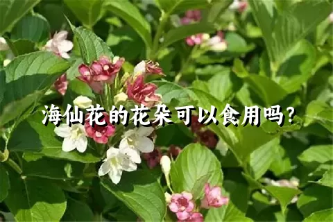 海仙花的花朵可以食用吗？