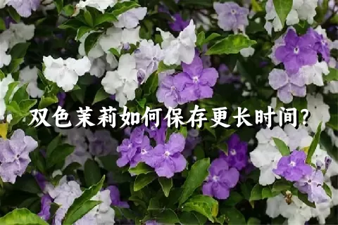 双色茉莉如何保存更长时间？