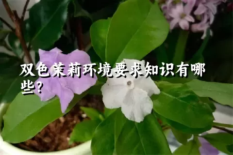 双色茉莉环境要求知识有哪些？