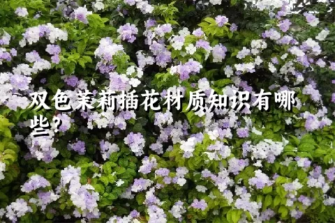 双色茉莉插花材质知识有哪些？