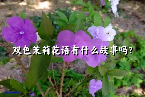 双色茉莉花语有什么故事吗？