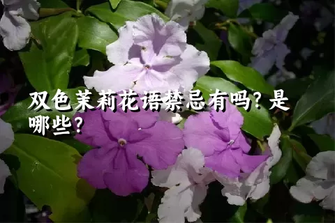 双色茉莉花语禁忌有吗？是哪些？