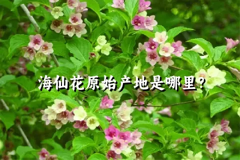 海仙花原始产地是哪里？