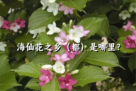 海仙花之乡（都）是哪里？