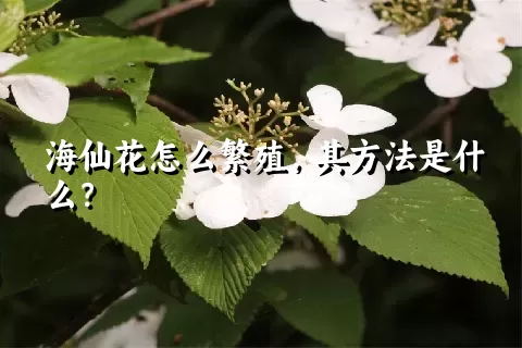 海仙花怎么繁殖，其方法是什么？