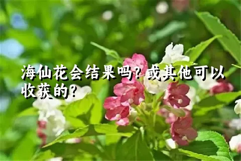 海仙花会结果吗？或其他可以收获的？