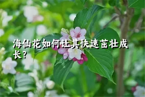 海仙花如何让其快速茁壮成长？