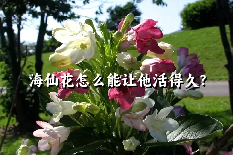 海仙花怎么能让他活得久？