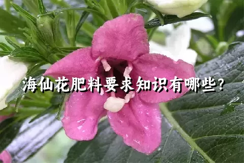 海仙花肥料要求知识有哪些？