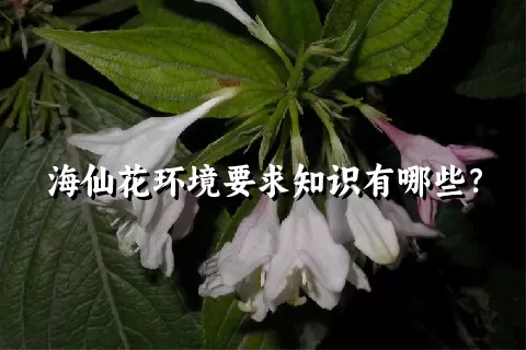 海仙花环境要求知识有哪些？