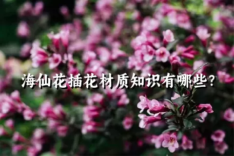 海仙花插花材质知识有哪些？