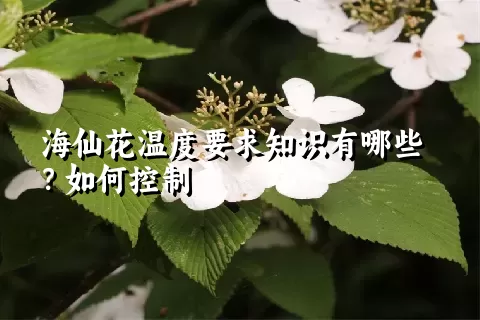 海仙花温度要求知识有哪些？如何控制