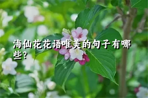 海仙花花语唯美的句子有哪些？