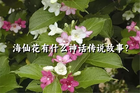 海仙花有什么神话传说故事？