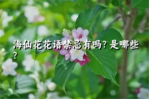 海仙花花语禁忌有吗？是哪些？