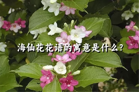 海仙花花语的寓意是什么？