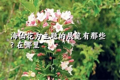 海仙花为主题的展览有那些？在哪里