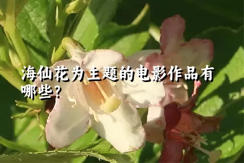 海仙花为主题的电影作品有哪些？