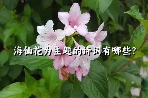 海仙花为主题的诗词有哪些？