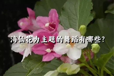 海仙花为主题的舞蹈有哪些？