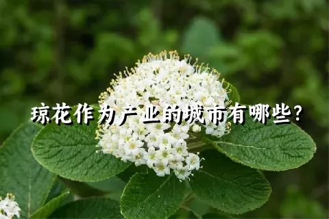 琼花作为产业的城市有哪些？