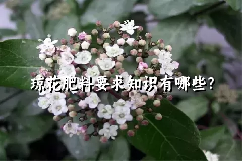 琼花肥料要求知识有哪些？