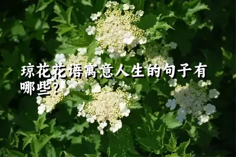 琼花花语寓意人生的句子有哪些？