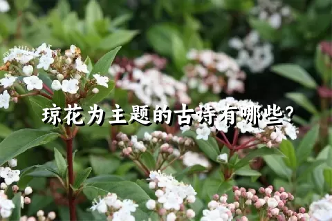 琼花为主题的古诗有哪些？